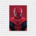Placa Decorativa Spider-man Polygons Marvel - 20 x 30 cm